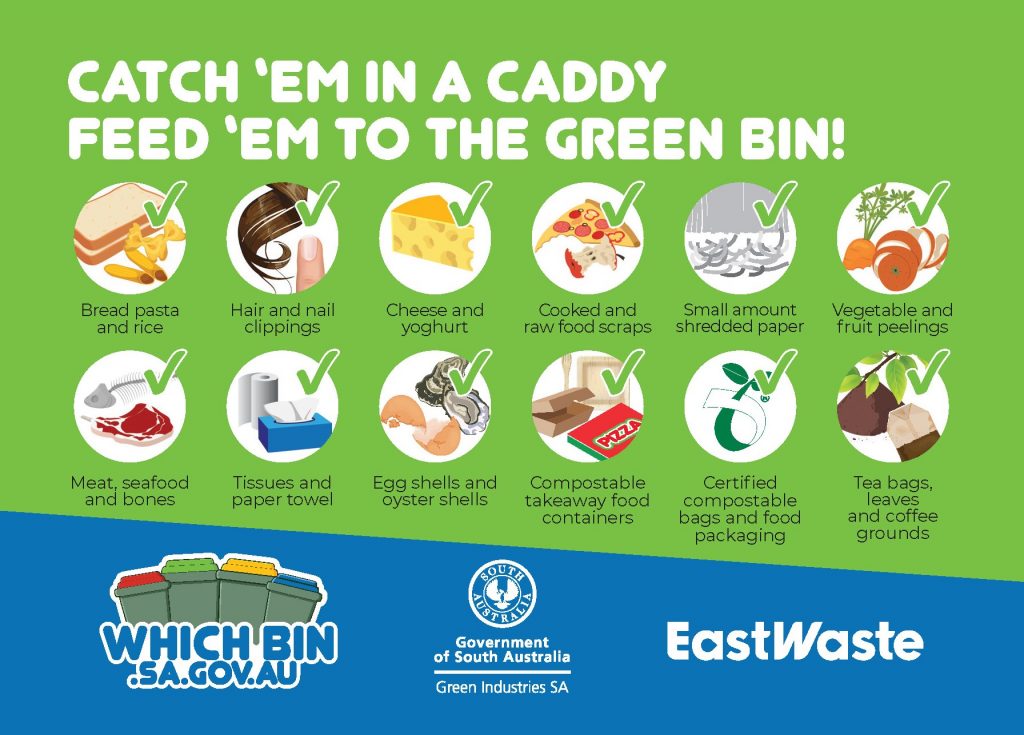 Catch 'em in a caddy. Feed 'em to the Green Bin!